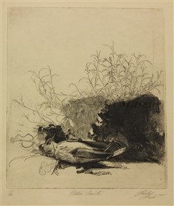 Image description is not available for 1993.015